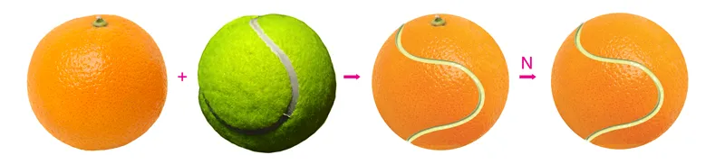 An image related to animals and creativity.